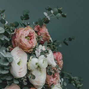 Meet, Iris & Apple... Call me Ise (Esay)